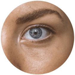 Close-up of a blue eye with clear skin and well-groomed eyebrow.